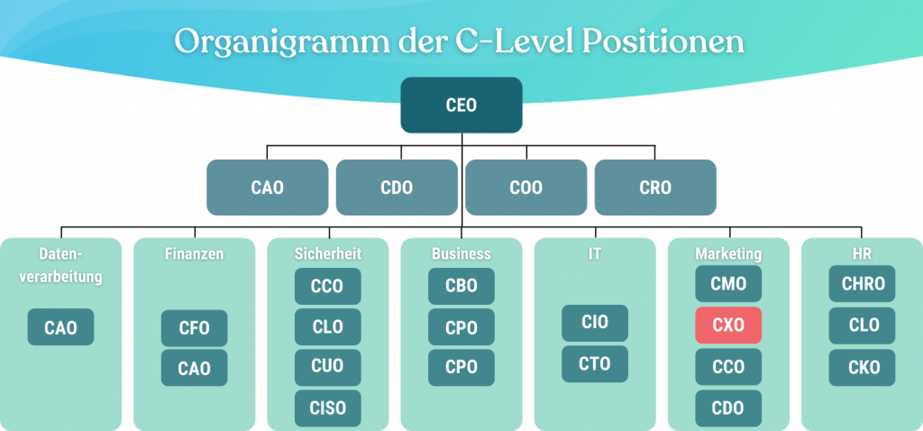 Organigramm-CXO-Chief-Experience-Officer