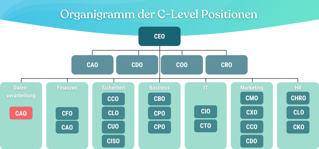 Organigramm-CAO-Chief-Analytics-Officer