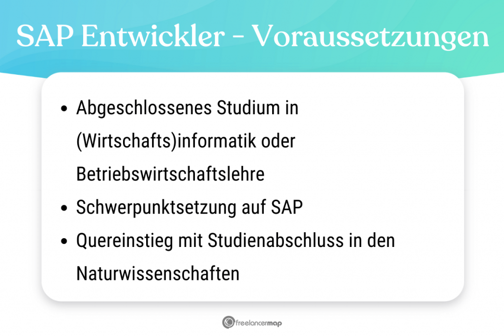 Voraussetzungen, die für den SAP Entwickler gelten 