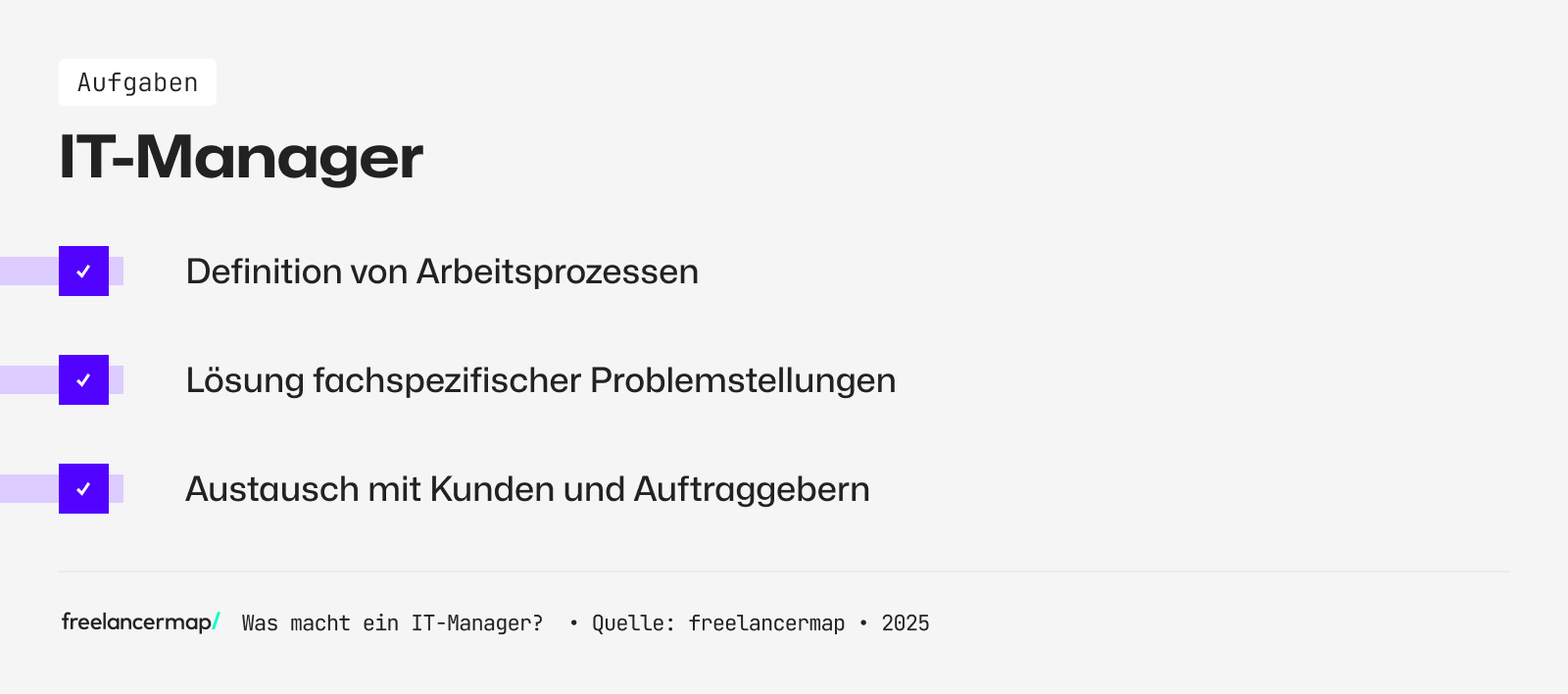 Ein IT-Manager löst fachspezifische Problemstellungen