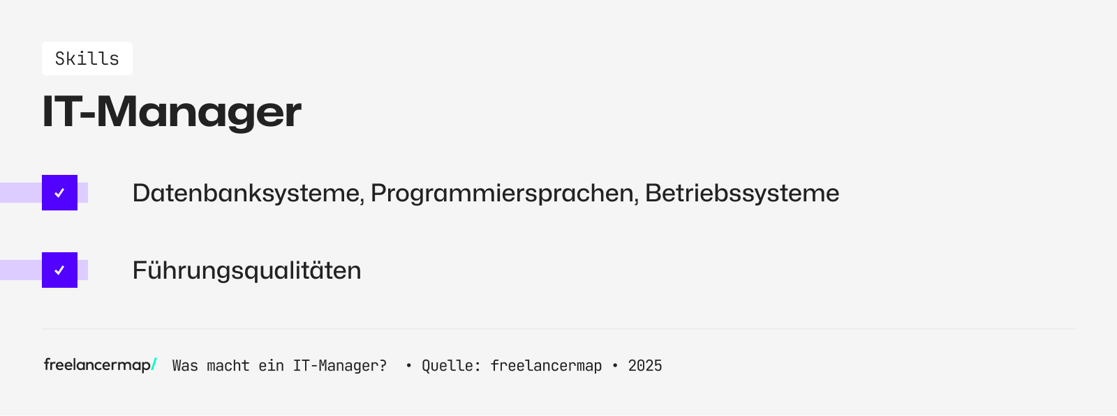 Ein IT-Manager kennt sich mit Datenbanksystemen aus