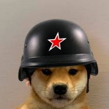 **** ****